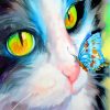 Cat And Butterfly Paint by numbers