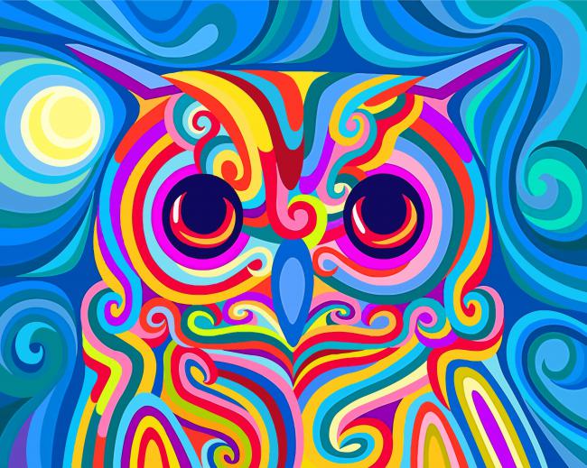 Colorful Owl - Paint By Number - Numeral Paint