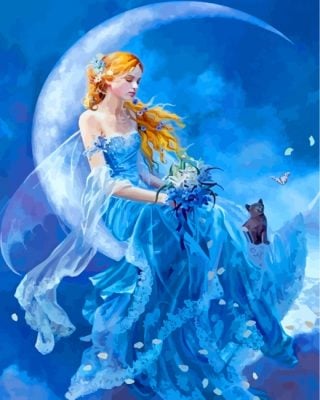 Moon Fairy Paint by numbers