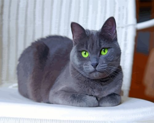 Russian-Blue-kitty-paint-by-numbers