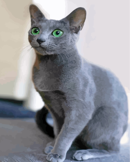 Adorable Russian Blue Cat Paint By Numbers - Numeral Paint Kit