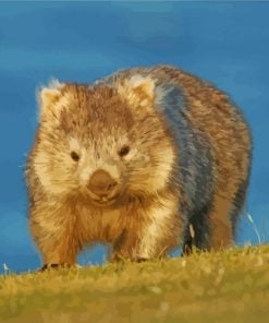 australia-wombat-paint-by-numbers