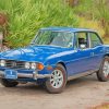 blue-triumph-stag-paint-by-numbers