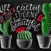 chalkboard-art-cactus-paint-by-numbers