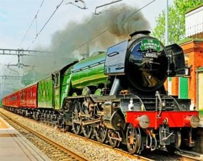 flying-scotsman-paint-by-numbers