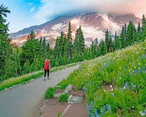 mount-rainier-national-park-paint-by-numbers