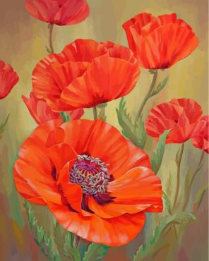 red-poppies-paint-by-numbers