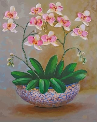 Orchidae - Paint by Numbers