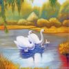white-swans-(2)-paint-by-numbers
