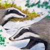 Badgers In Snow Paint by numbers
