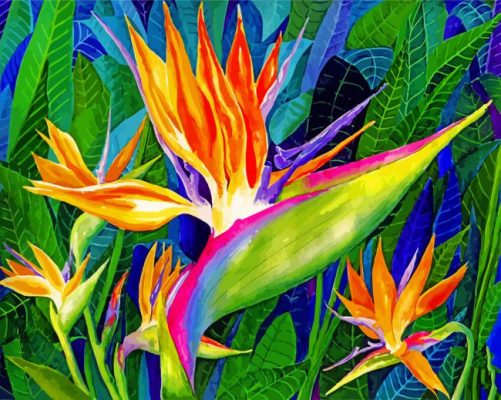 Bird Of Paradise Art Paint By Numbers - Numeral Paint Kit