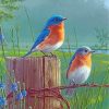 Bluebirds On Wire Paint by numbers