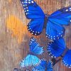 Blue-monarch-butterfly-paint-by-number