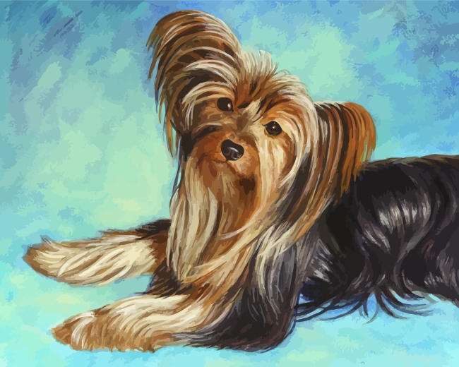 Cute Yorkshire Terrier Dog Paint By Number Numeral Paint