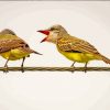 Finches On Wire Paint by numbers