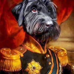 General Schnauzer Paint By Numbers