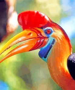 Hornbill Bird Animal Paint by numbers