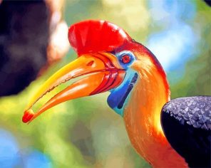 Hornbill Bird Animal Paint by numbers