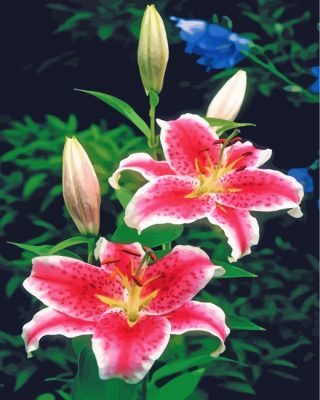 Pink Tiger Lilies paint by numbers