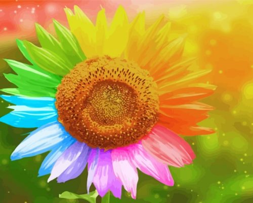 Rainbow Sunflower Paint by numbers