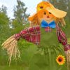 Scarecrow Girl Paint by numbers