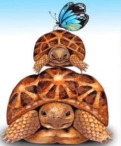 Tortoises-and-butterfly-paint-by-numbers