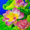 Water Lily Paint by numbers