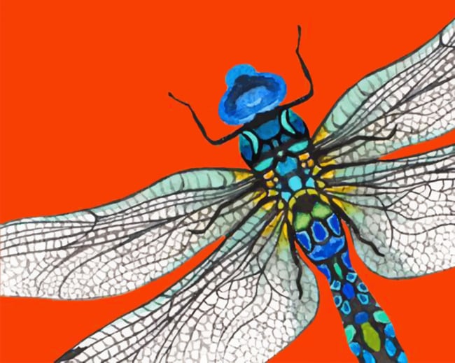 Dragonfly Paint By Numbers - Numeral Paint Kit