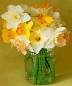 Aesthetic Daffodils Flowers Paint by numbers