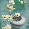 Aesthetic Magnolia Flowers Paint By Numbers