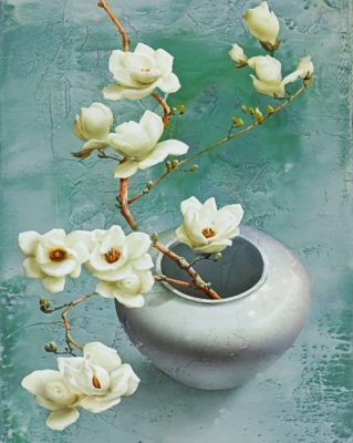 aesthetic-magnolia-flowers-paint-by-numbers