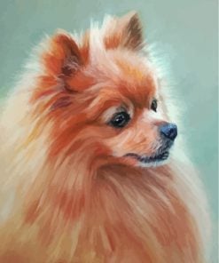 aesthetic-pomeranian-dog-paint-by-numbers