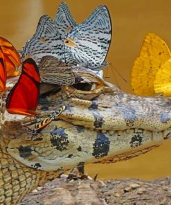 alligator-with-butterfly-paint-by-numbers