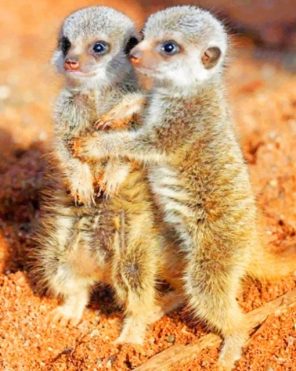 baby-meerkats-paint-by-numbers-510x639-1