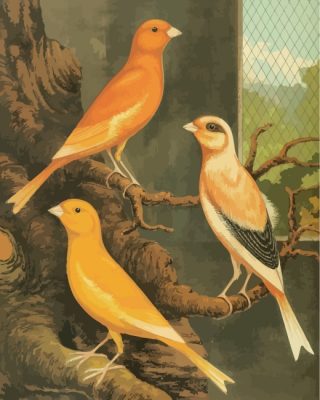 canary-birds-art-paint-by-numbers