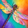 colorful-dragonfly-paint-by-numbers