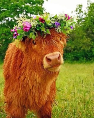 Cow Wearing Flower Crown 
