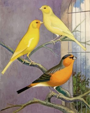 domestic-canary-paint-by-numbers