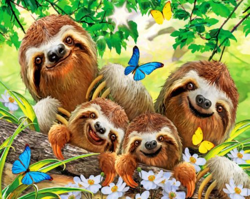 Sloths Family