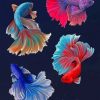 Betta Fishes Vector paint by numbers