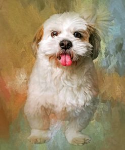 fluffy-shih-tzu-paint-by-numbers
