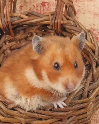 hamster--poster-paint-by-numbers