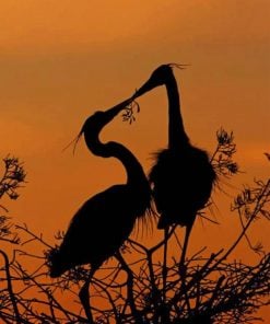 heron-silhouette-paint-by-numbers