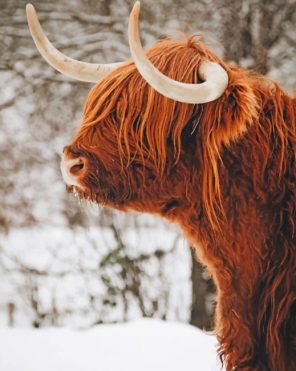 highland-cow-in-the-snow-paint-by-number