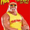 Hulk Hogan Paint By Numbers