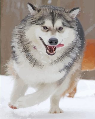husky-snow-paint-by-numbers