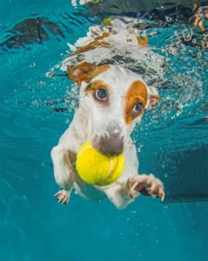 Jack Russell Underwater Paint by numbers
