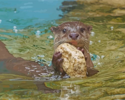north-american-river--beaver-otter-paint-by-numbers
