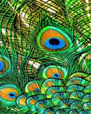 peacock-feather-2-paint-by-numbers