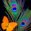 peacock-feathers-and-butterfly-paint-by-numbers